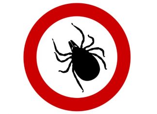 ¿Quieres eliminar definitivamente las plagas de tu hogar y tus adicciones? Es muy fácil si te dejas aconsejar