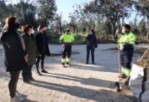 Jóvenes mostoleños se favorecen del Plan Singular de Empleo de jardinería de Móstoles Desarrollo